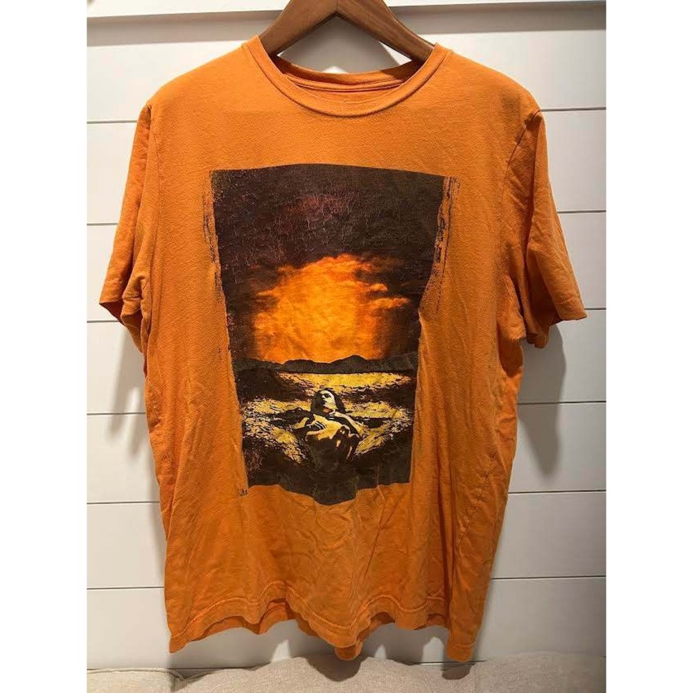 Alice In Chains Dirt Album Cover Graphic T-Shirt Orange Mens XL Rock Grunge Tee